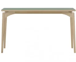 Aeris Skrivbord / Avställningsbord 120x40 cm Ljus Ek