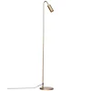 Curve Golvlampa Guld matt