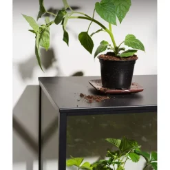 Grower Greens Växtskåp Svart 81x41x82 cm