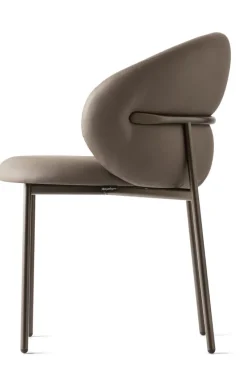 Oleandro Capsule Stol