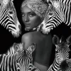 Zebra Queen 120x120cm Glas